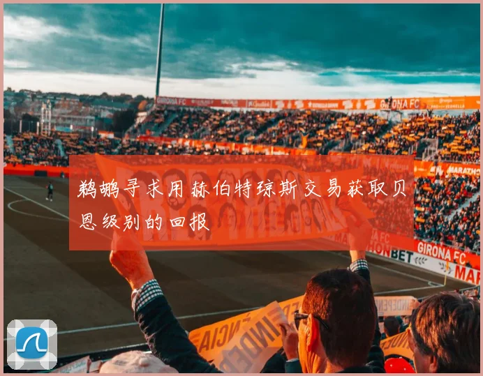 鹈鹕寻求用赫伯特琼斯交易获取贝恩级别的回报